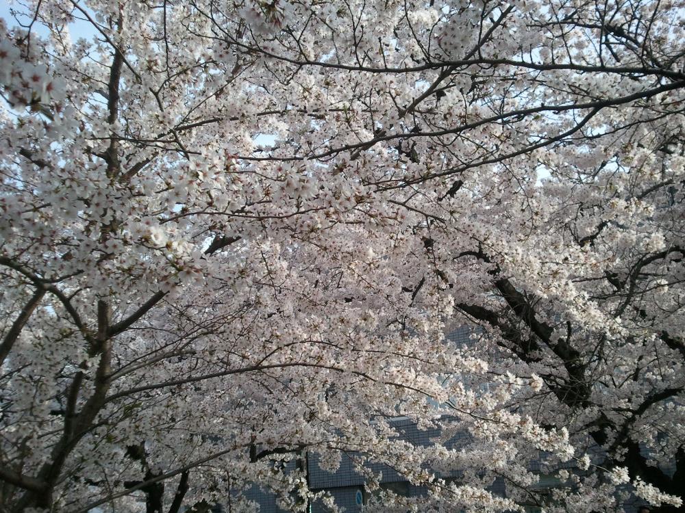 2011-04-10 16.02.06.jpg